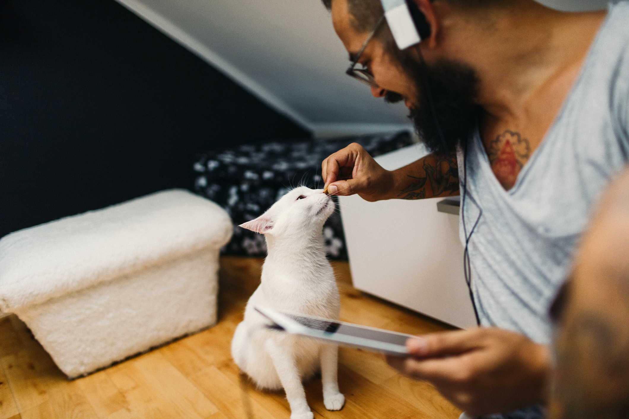 Selbst Tierfutter kommt aus dem Internet