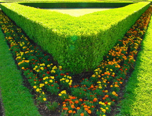 Gartenbau – eine Nische für Webshops